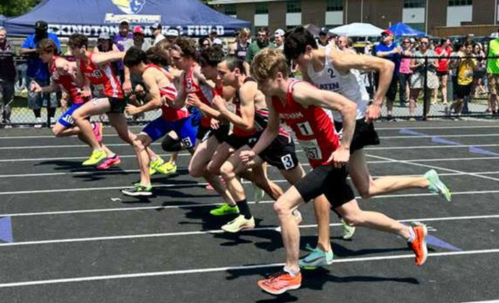 mstca
